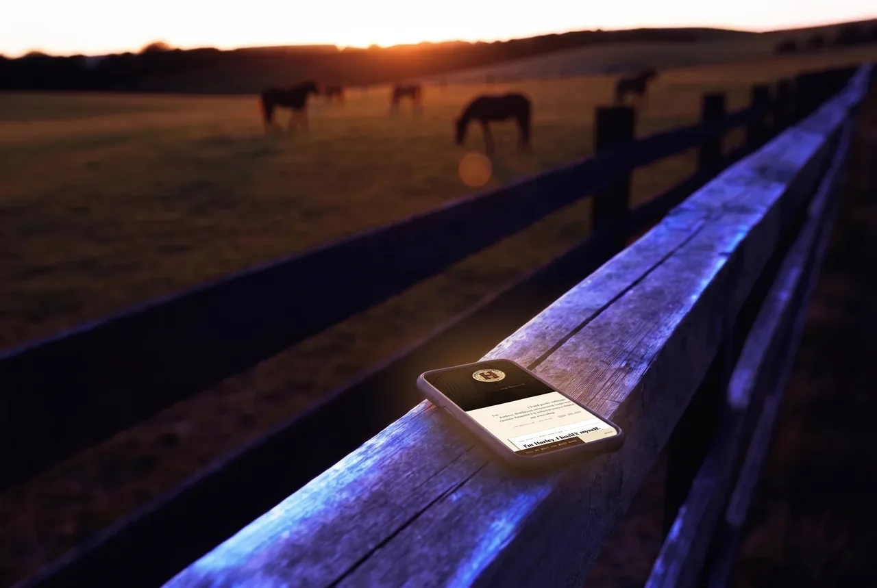 A phone resting on a weathered plank fence rail at golden hour, long black fence lines and horses grazing in the pasture behind.